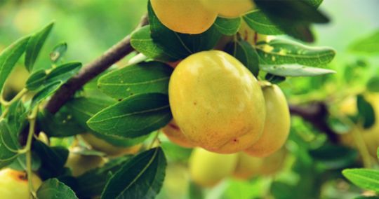 夸夸我的三台！今非昔比古梓州！