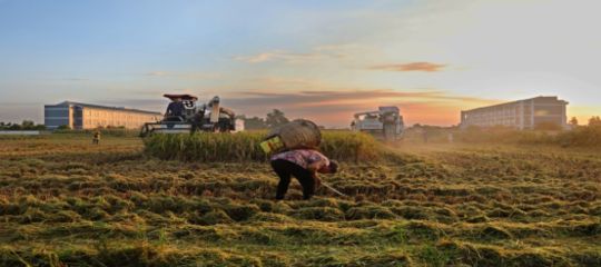 夸夸我的三台！今非昔比古梓州！