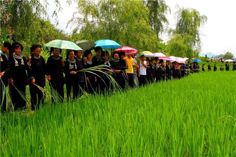 明天约起，来三都过最古老的“东方情人节”