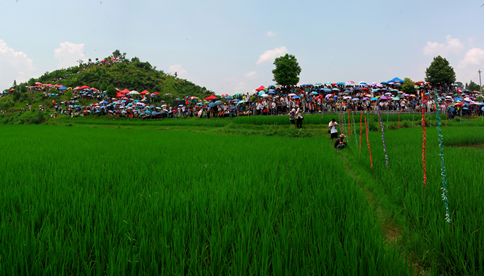 明天约起，来三都过最古老的“东方情人节”