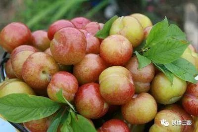 明天约起，来三都过最古老的“东方情人节”