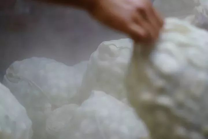 蚕丝被被曝光了！长期盖蚕丝被的人发生了惊人变化...没看的赶紧看看吧