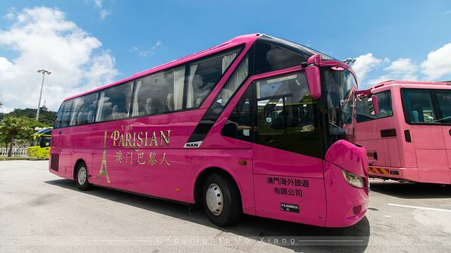 带着爸妈去旅行完整版,澳门父母一日游