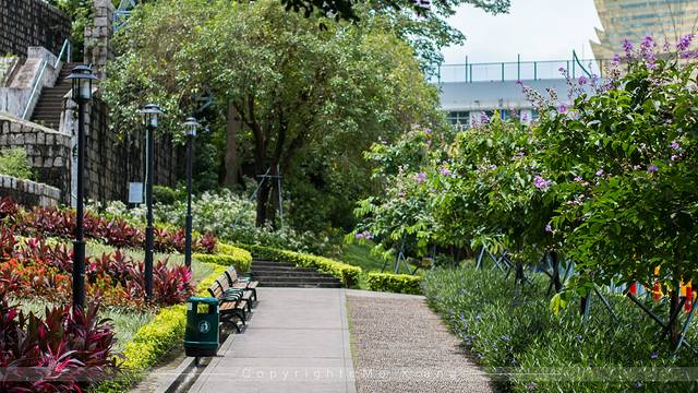 带着爸妈去旅行完整版,澳门父母一日游
