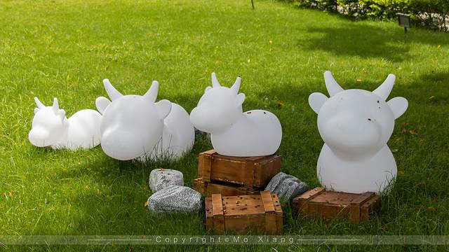 带着爸妈去旅行完整版,澳门父母一日游