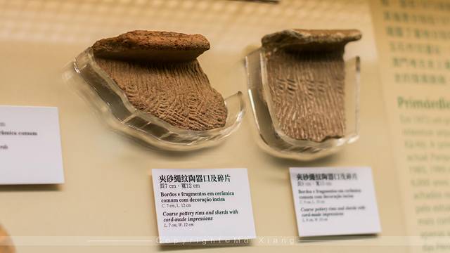 带着爸妈去旅行完整版,澳门父母一日游