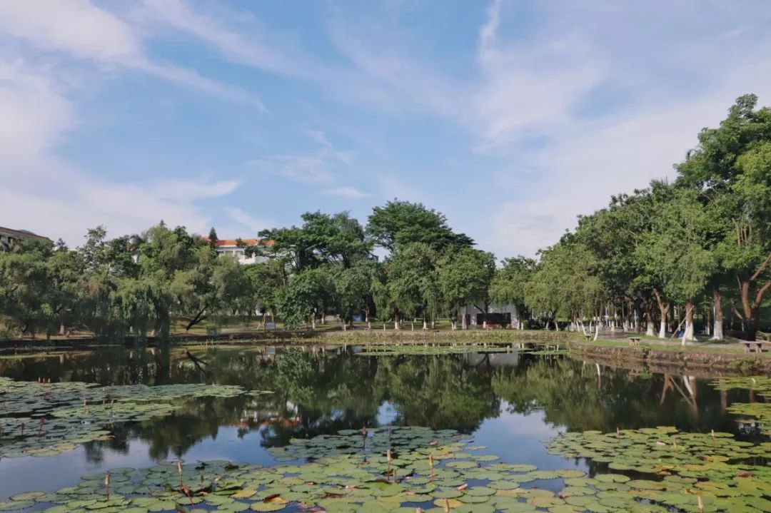 内外兼修的美才是真正的美,内外兼修的美丽