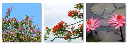 内外兼修的美才是真正的美,内外兼修的美丽