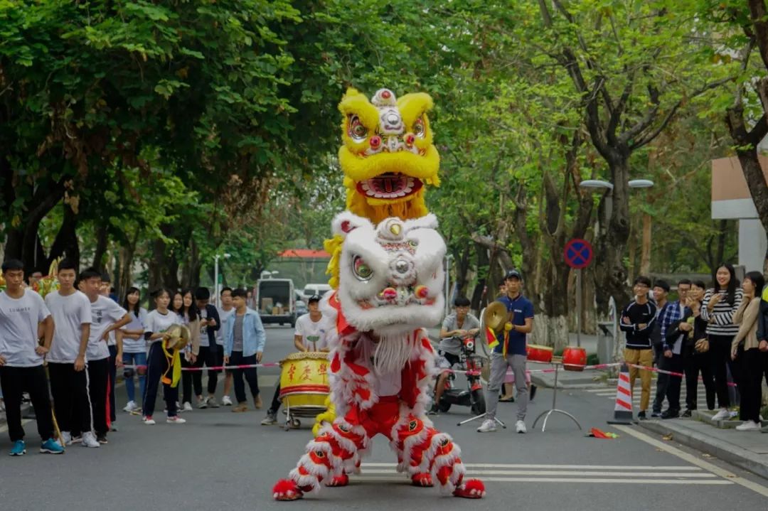 内外兼修的美才是真正的美,内外兼修的美丽