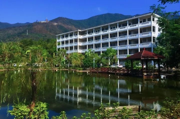 内外兼修的美才是真正的美,内外兼修的美丽