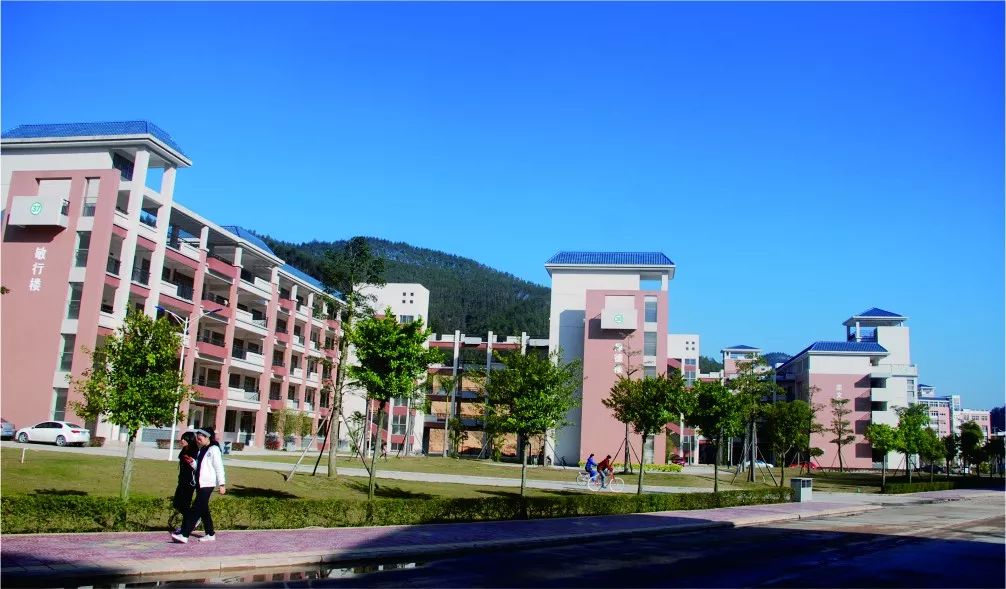 内外兼修的美才是真正的美,内外兼修的美丽