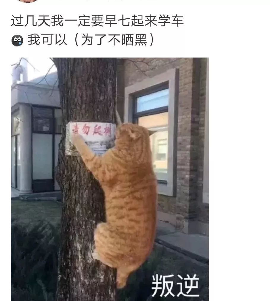 女人要怎么防晒呢,中国女人防晒能有多野