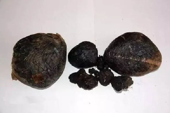 【*品毒**知识宣传】*品毒**基础知识、什么是新型*品毒**？新型*品毒**怎么分类？会有哪些危害……为什么会有人吸毒？如何正确对待吸毒者？