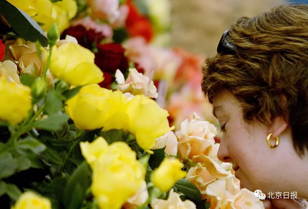 中国官方承认的国花选出来了吗,中国的国花目前选出来了吗