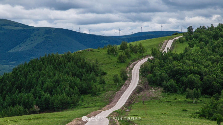这个夏天来塞罕坝看看吧,坝上草原森林