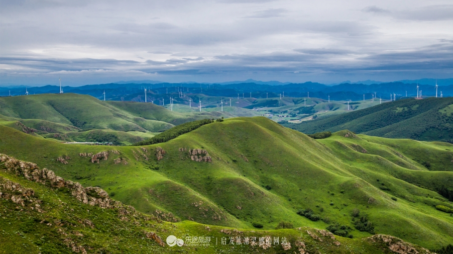 这个夏天来塞罕坝看看吧,坝上草原森林