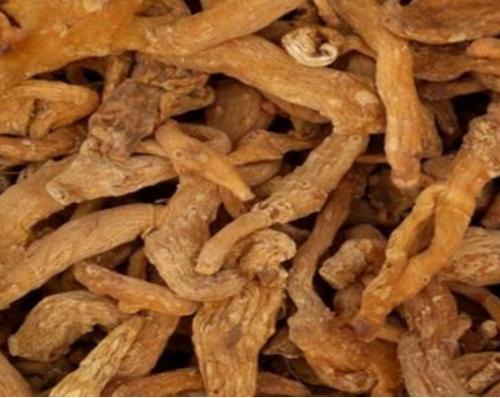 金线莲种植一亩利润1000万,金线莲种植市场的前景