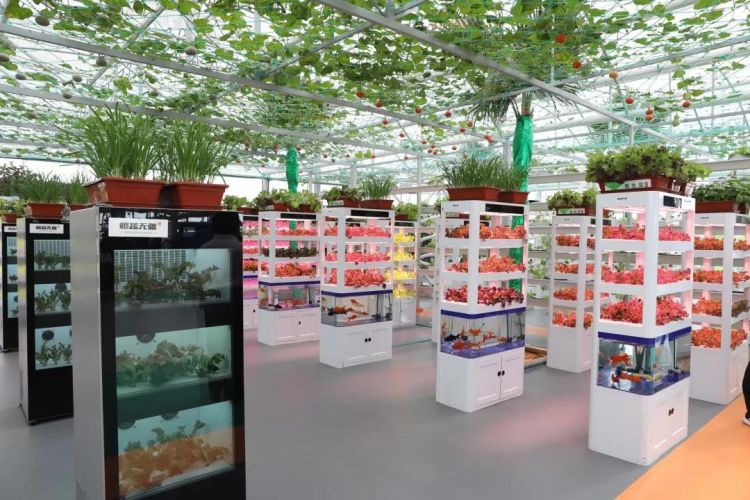 乡村振兴百村示范项目,乡村振兴双百典型示范工程