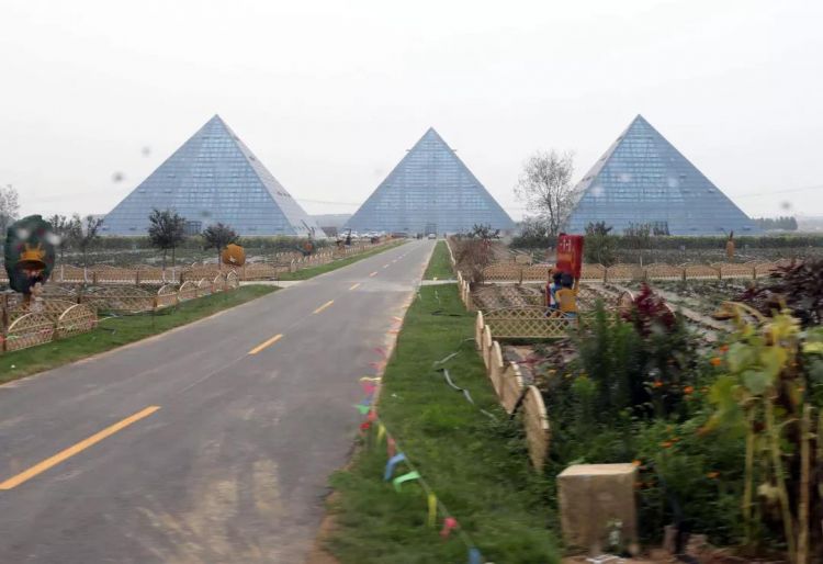 乡村振兴百村示范项目,乡村振兴双百典型示范工程