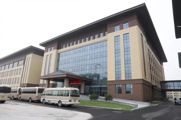 乡村振兴百村示范项目,乡村振兴双百典型示范工程