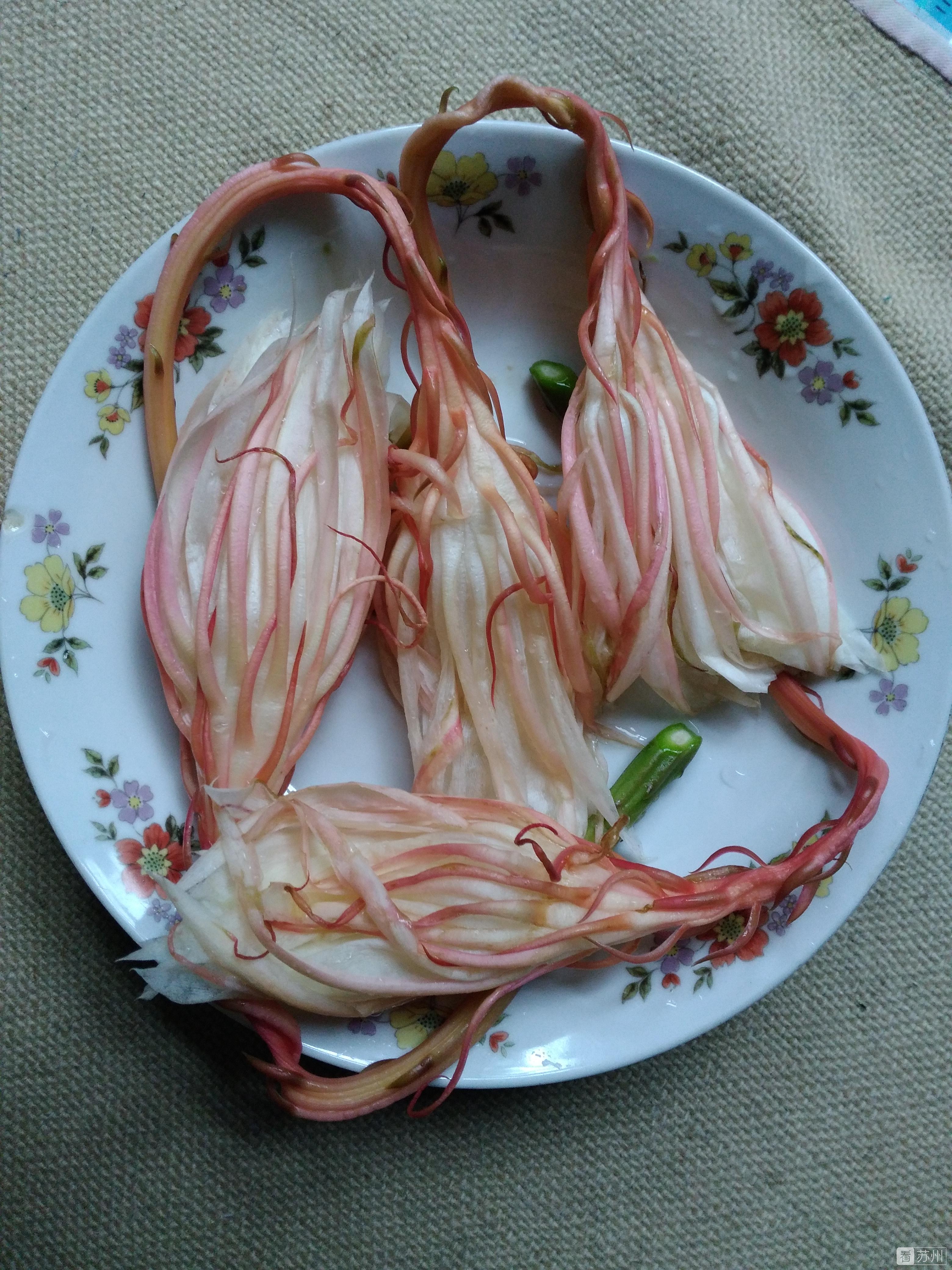 苏州老伯,苏州老伯视频