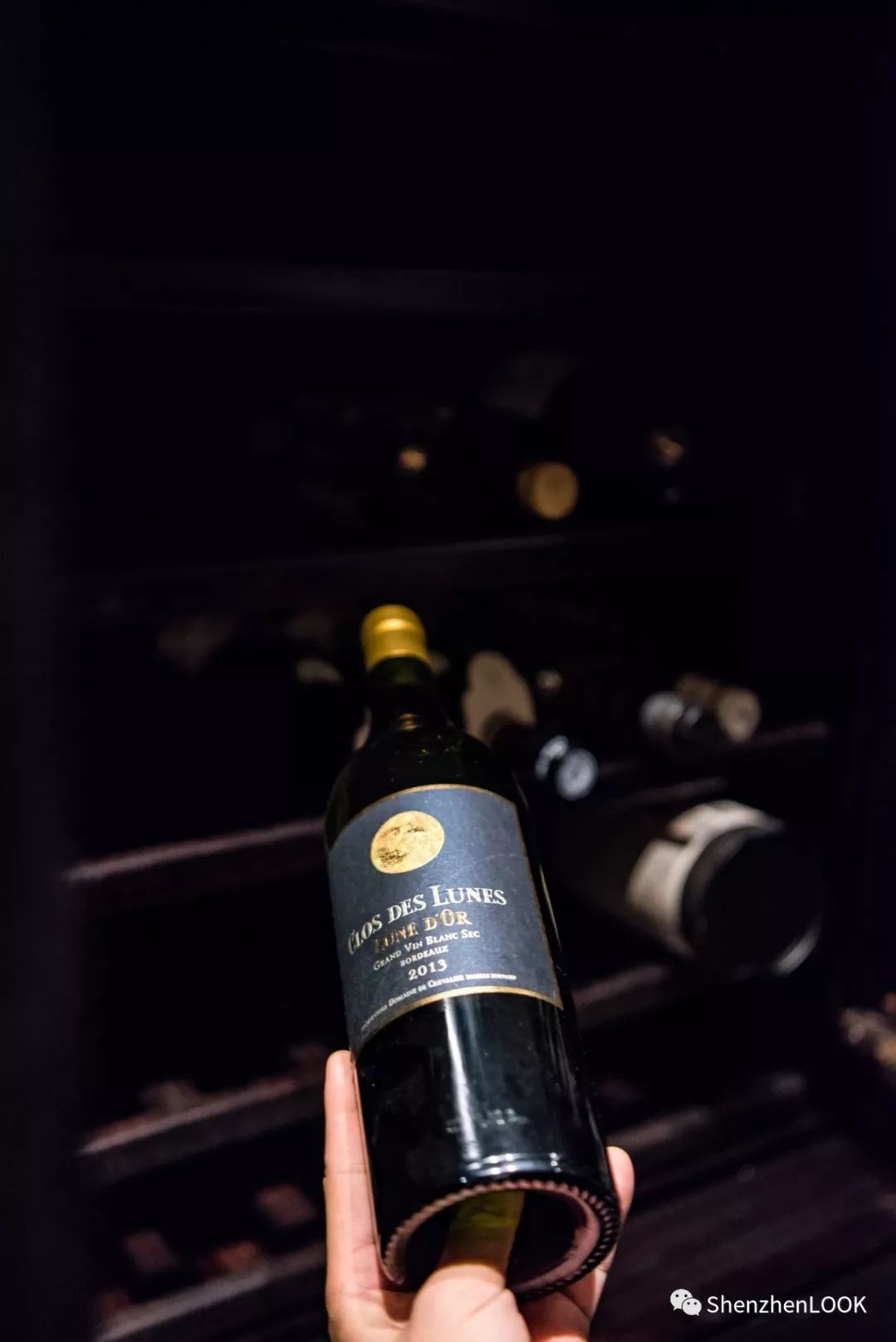 LOOK|湾区新生活·南海双玺空间