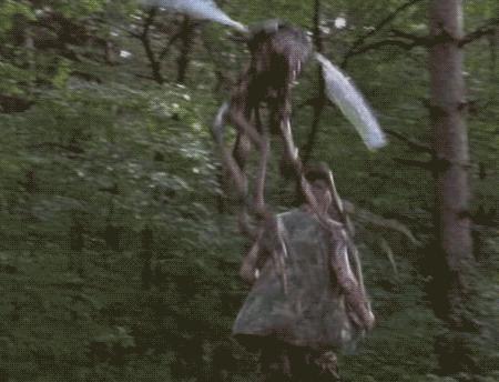 北极蚊子都泛滥了，咱被咬两口就别哭了