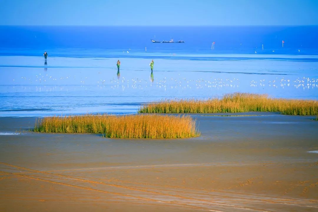 盐城相当于几个上海,上海和盐城有什么渊源