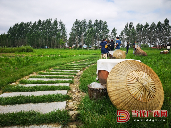 土法制黄豆瓣酱的全过程,土法自制酱做法