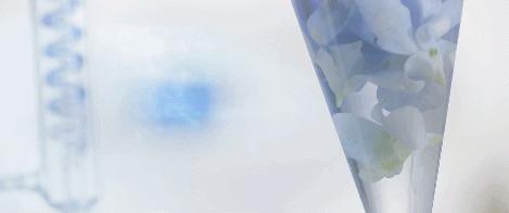 坚决不做“黄脸婆”!有了它,再差的皮肤都有救!丨开团