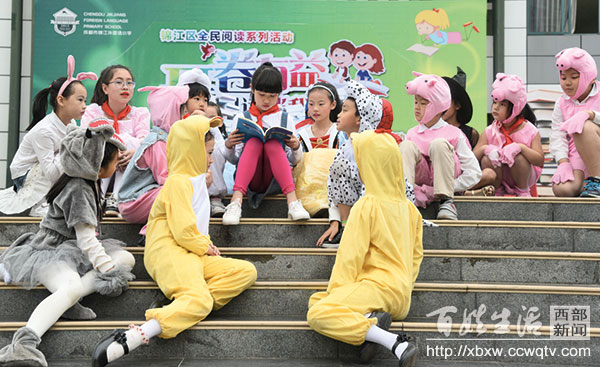 锦江区新小学,锦江外国语小学在锦江区排名多少