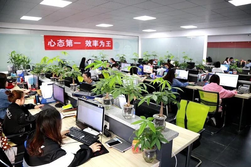 武汉大学生创业扶持政策项目,武汉洪山区大学生创业政策