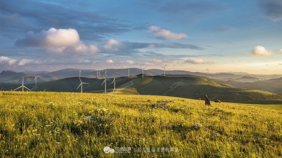 这个夏天来塞罕坝看看吧,坝上草原森林