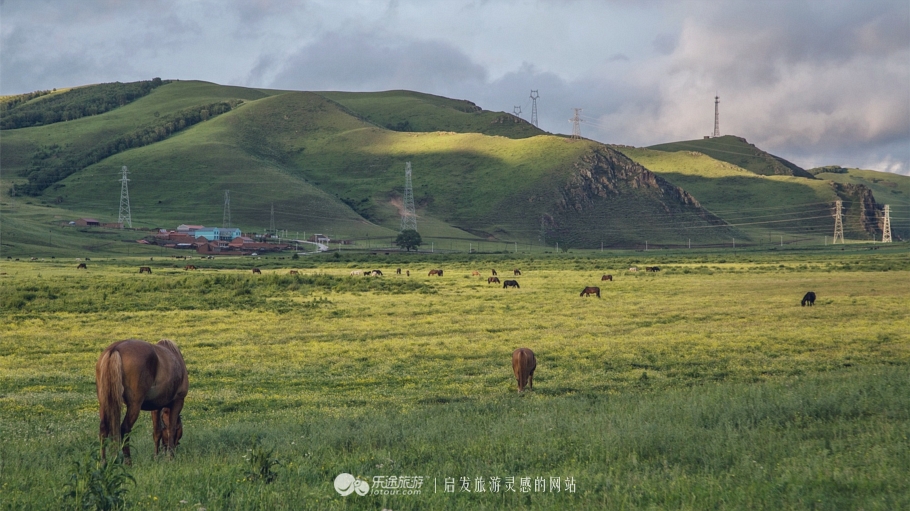 这个夏天来塞罕坝看看吧,坝上草原森林