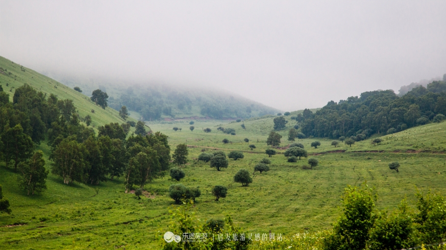 这个夏天来塞罕坝看看吧,坝上草原森林