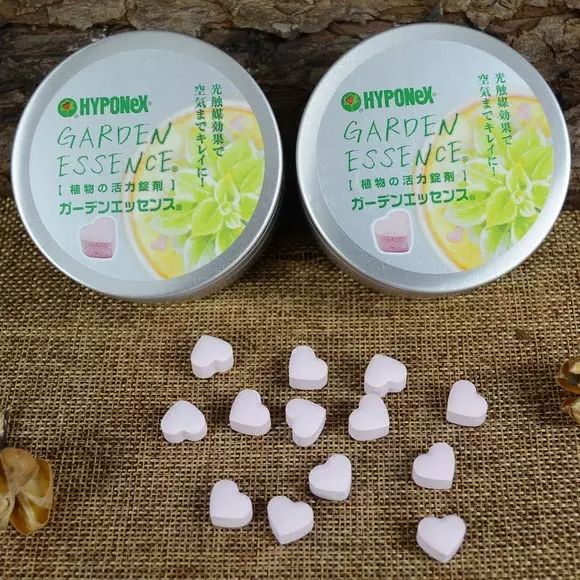 多肉怎么选泥土,多肉需要补充哪种肥料