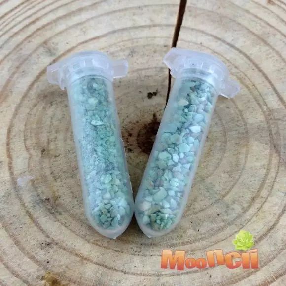 多肉怎么选泥土,多肉需要补充哪种肥料