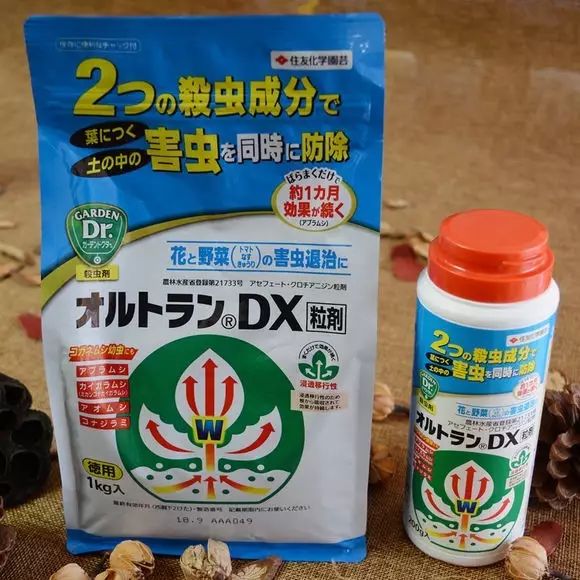 多肉怎么选泥土,多肉需要补充哪种肥料