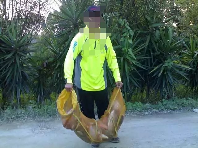 罗非的正确吃饵方法,钓罗非的心得和经验