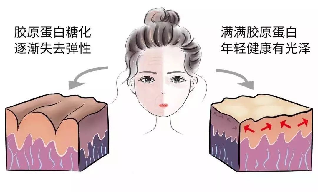 麻范儿好物|日本“吸油圣斗士”,1天1条,7天瘦出小蛮腰!酸酸甜甜,比果冻还好吃