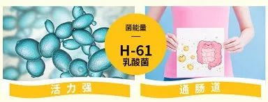 麻范儿好物|日本“吸油圣斗士”,1天1条,7天瘦出小蛮腰!酸酸甜甜,比果冻还好吃
