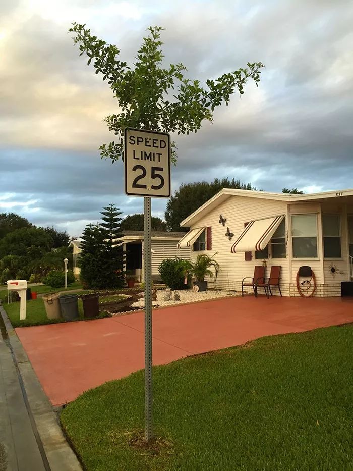 为什么人类无法战胜大自然,人类在大自然面前表现出的勇气