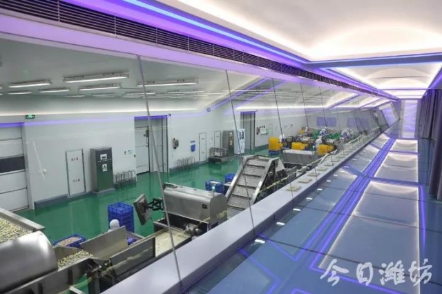 潍坊安丘乡村振兴,乡村振兴十大项目推荐