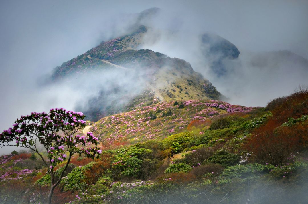 中国梦70周年绘画图片,70周年中国梦绘画作品图片