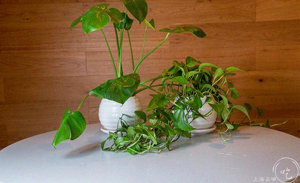 便利店饮料隐藏喝法测评,分享便利店饮料的隐藏喝法