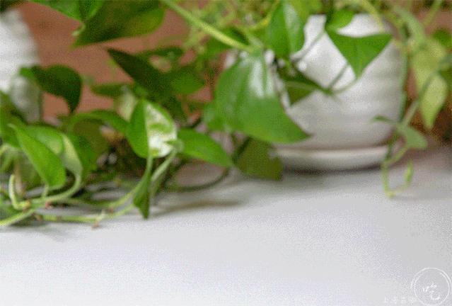 便利店饮料隐藏喝法测评,分享便利店饮料的隐藏喝法