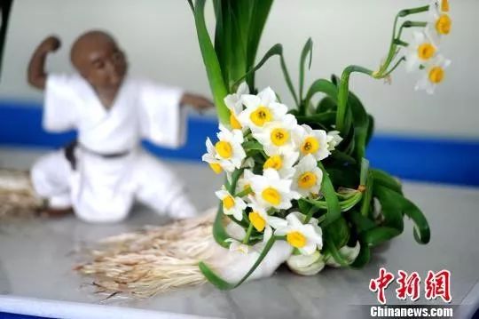 中国官方承认的国花选出来了吗,中国的国花目前选出来了吗