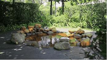 沉浸式泡温泉夏日玩水圣地推荐,送福利啦