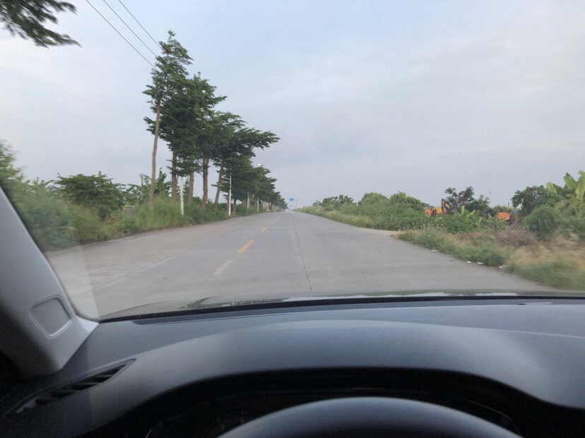 明知是打龟的天气但压不住出钓的心