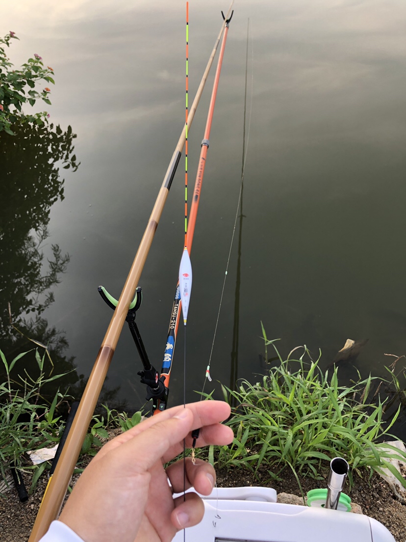 明知是打龟的天气但压不住出钓的心